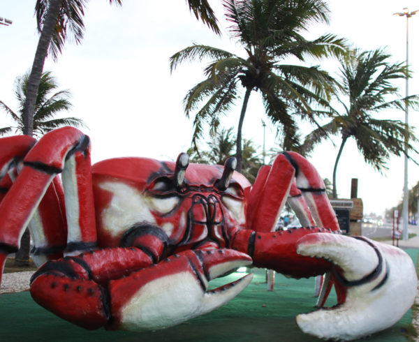 Feriadão é sinônimo de lazer e turismo em Caruaru - FalaPE